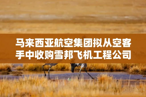 马来西亚航空集团拟从空客手中收购雪邦飞机工程公司 马来西亚航空集团拟从空客手中收购雪邦飞机工程公司