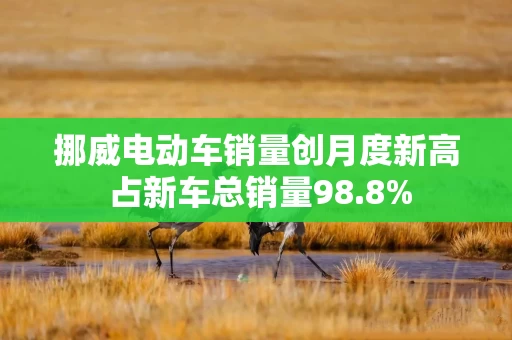 挪威电动车销量创月度新高 占新车总销量98.8% 挪威电动车销量创月度新高 占新车总销量98.8%