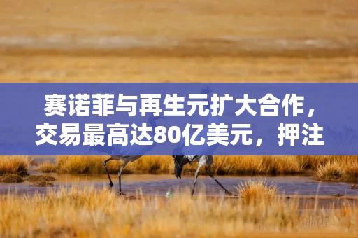 赛诺菲与再生元扩大合作,交易最高达80亿美元,押注下一代炎症药物 赛诺菲与再生元扩大合作,交易最高达80亿美元,押注下一代炎症药物