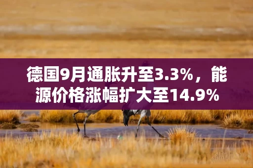 德国9月通胀升至3.3%，能源价格涨幅扩大至14.9%