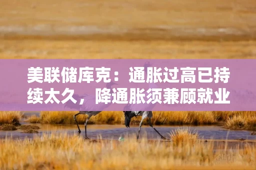 美联储库克:通胀过高已持续太久,降通胀须兼顾就业 美联储库克:通胀过高已持续太久,降通胀须兼顾就业