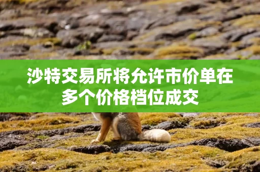 沙特交易所将允许市价单在多个价格档位成交 沙特交易所将允许市价单在多个价格档位成交