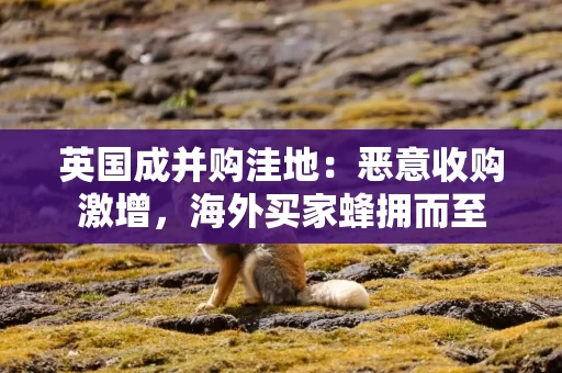 英国成并购洼地:恶意收购激增,海外买家蜂拥而至 英国成并购洼地:恶意收购激增,海外买家蜂拥而至