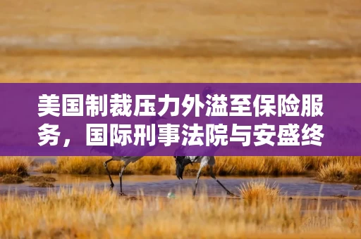 美国制裁压力外溢至保险服务,国际刑事法院与安盛终止合作 美国制裁压力外溢至保险服务,国际刑事法院与安盛终止合作