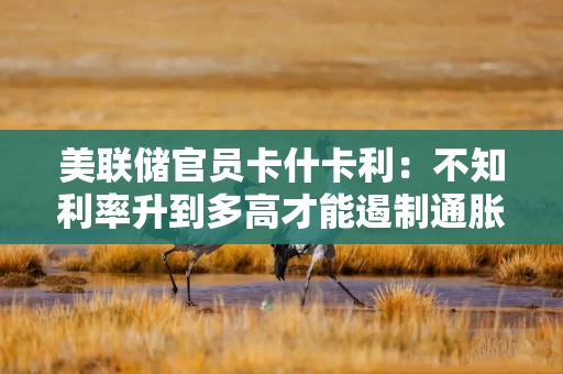 美联储官员卡什卡利:不知利率升到多高才能遏制通胀 但必须采取行动 美联储官员卡什卡利:不知利率升到多高才能遏制通胀 但必须采取行动