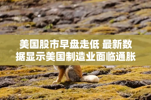 美国股市早盘走低 最新数据显示美国制造业面临通胀压力 美国股市早盘走低 最新数据显示美国制造业面临通胀压力