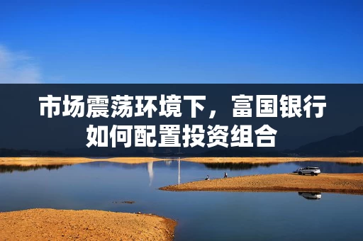 市场震荡环境下,富国银行如何配置投资组合 市场震荡环境下,富国银行如何配置投资组合