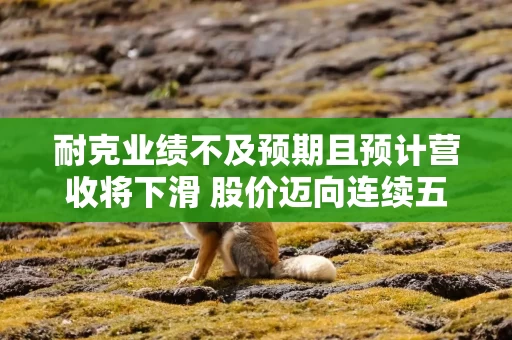 耐克业绩不及预期且预计营收将下滑 股价迈向连续五年下跌 耐克业绩不及预期且预计营收将下滑 股价迈向连续五年下跌