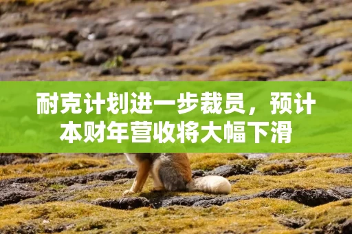耐克计划进一步裁员,预计本财年营收将大幅下滑 耐克计划进一步裁员,预计本财年营收将大幅下滑