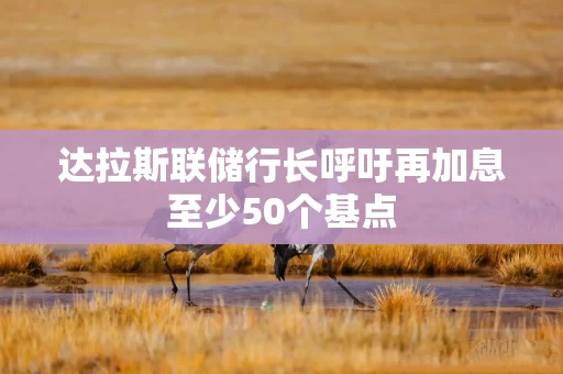 达拉斯联储行长呼吁再加息至少50个基点 达拉斯联储行长呼吁再加息至少50个基点