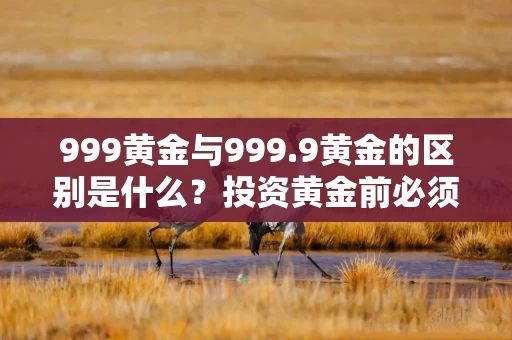 999黄金与999.9黄金的区别是什么？投资黄金前必须了解的关键点