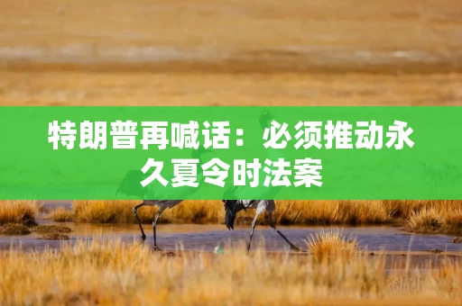 特朗普再喊话:必须推动永久夏令时法案 特朗普再喊话:必须推动永久夏令时法案