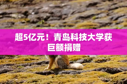 超5亿元!青岛科技大学获巨额捐赠 超5亿元!青岛科技大学获巨额捐赠