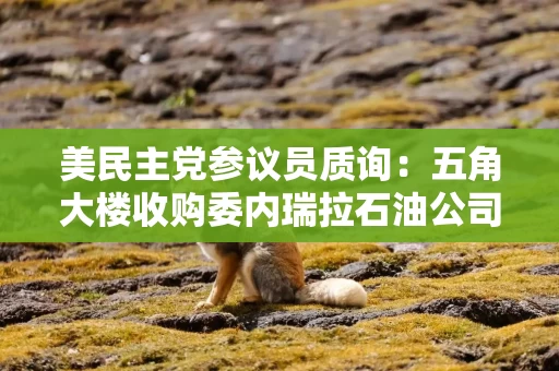 美民主党参议员质询:五角大楼收购委内瑞拉石油公司合规吗? 美民主党参议员质询:五角大楼收购委内瑞拉石油公司合规吗?