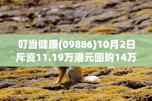 叮当健康(09886)10月2日斥资11.19万港元回购14万股 叮当健康(09886)10月2日斥资11.19万港元回购14万股