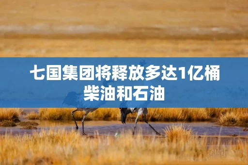 七国集团将释放多达1亿桶柴油和石油 七国集团将释放多达1亿桶柴油和石油