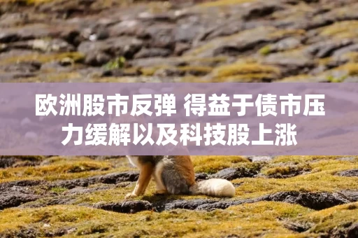 欧洲股市反弹 得益于债市压力缓解以及科技股上涨 欧洲股市反弹 得益于债市压力缓解以及科技股上涨