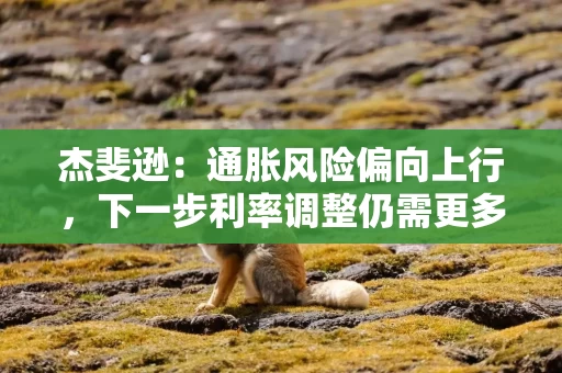 杰斐逊:通胀风险偏向上行,下一步利率调整仍需更多时间判断 杰斐逊:通胀风险偏向上行,下一步利率调整仍需更多时间判断