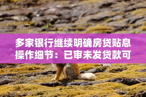 多家银行继续明确房贷贴息操作细节:已审未发贷款可办理,5年期满需正常计息还款 多家银行继续明确房贷贴息操作细节:已审未发贷款可办理,5年期满需正常计息还款