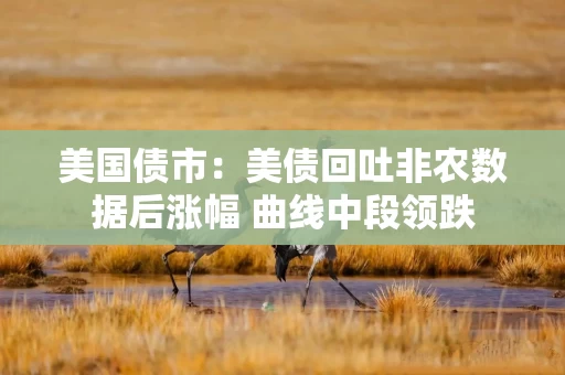 美国债市:美债回吐非农数据后涨幅 曲线中段领跌 美国债市:美债回吐非农数据后涨幅 曲线中段领跌