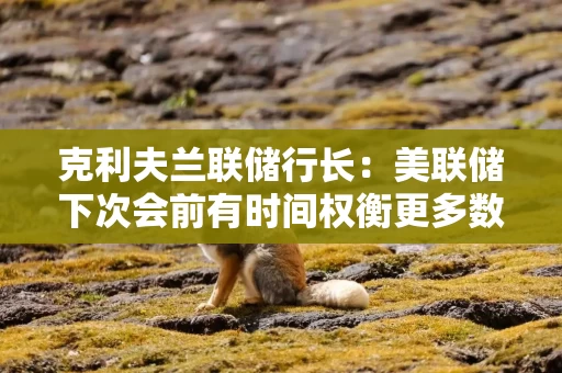 克利夫兰联储行长:美联储下次会前有时间权衡更多数据 克利夫兰联储行长:美联储下次会前有时间权衡更多数据
