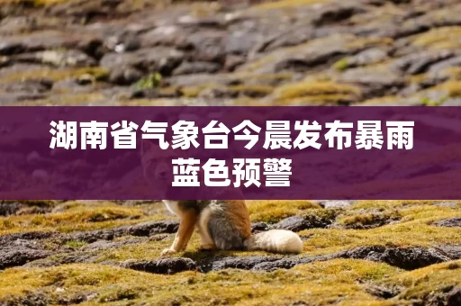 湖南省气象台今晨发布暴雨蓝色预警 湖南省气象台今晨发布暴雨蓝色预警