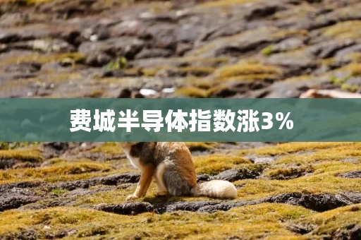费城半导体指数涨3% 费城半导体指数涨3%