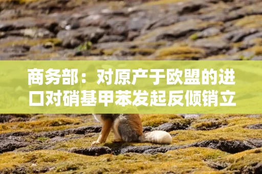 商务部:对原产于欧盟的进口对硝基甲苯发起反倾销立案调查 商务部:对原产于欧盟的进口对硝基甲苯发起反倾销立案调查