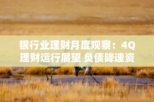 银行业理财月度观察:4Q理财运行展望 负债降速资产求变养老谋远 银行业理财月度观察:4Q理财运行展望 负债降速资产求变养老谋远