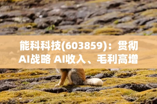 能科科技(603859):贯彻AI战略 AI收入、毛利高增 能科科技(603859):贯彻AI战略 AI收入、毛利高增