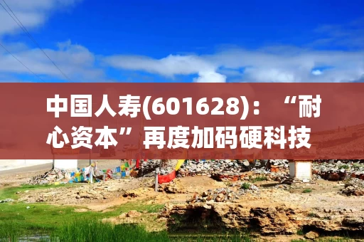 中国人寿(601628):“耐心资本”再度加码硬科技 一级市场布局持续深化 中国人寿(601628):“耐心资本”再度加码硬科技 一级市场布局持续深化