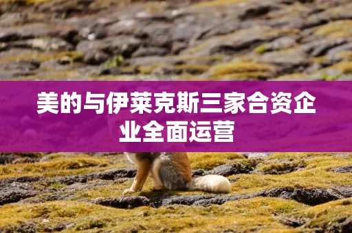 美的与伊莱克斯三家合资企业全面运营 美的与伊莱克斯三家合资企业全面运营