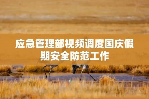 应急管理部视频调度国庆假期安全防范工作 应急管理部视频调度国庆假期安全防范工作