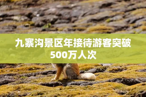 九寨沟景区年接待游客突破500万人次 九寨沟景区年接待游客突破500万人次