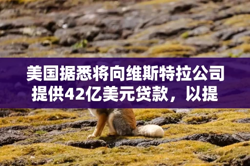 美国据悉将向维斯特拉公司提供42亿美元贷款,以提升核电产能 美国据悉将向维斯特拉公司提供42亿美元贷款,以提升核电产能