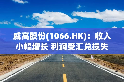 威高股份(1066.HK):收入小幅增长 利润受汇兑损失及集采影响短期承压 威高股份(1066.HK):收入小幅增长 利润受汇兑损失及集采影响短期承压