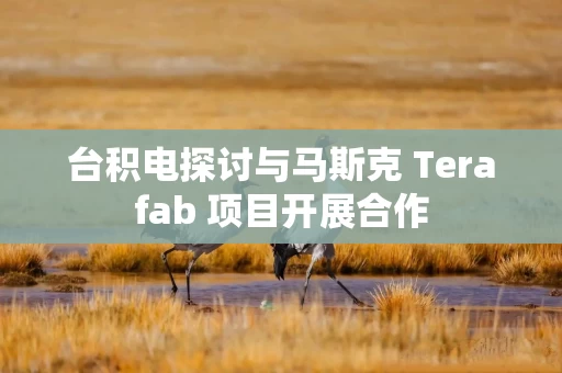 台积电探讨与马斯克 Terafab 项目开展合作 台积电探讨与马斯克 Terafab 项目开展合作