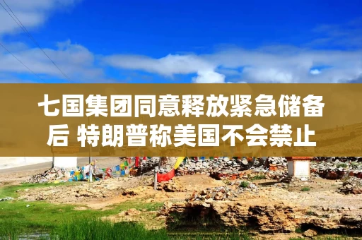 七国集团同意释放紧急储备后 特朗普称美国不会禁止柴油出口