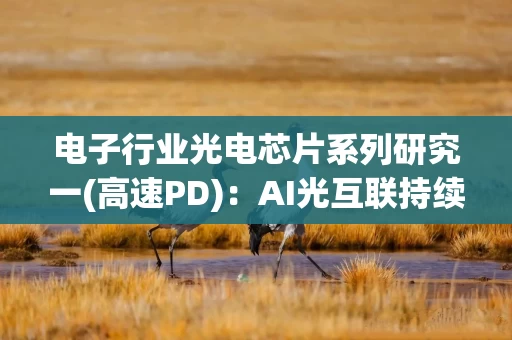 电子行业光电芯片系列研究一(高速PD):AI光互联持续升级 挖掘高速PD细分产业机遇 电子行业光电芯片系列研究一(高速PD):AI光互联持续升级 挖掘高速PD细分产业机遇