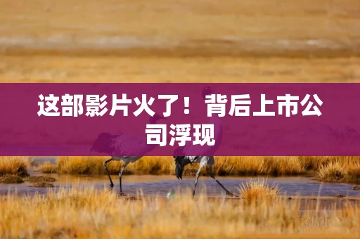 这部影片火了!背后上市公司浮现 这部影片火了!背后上市公司浮现