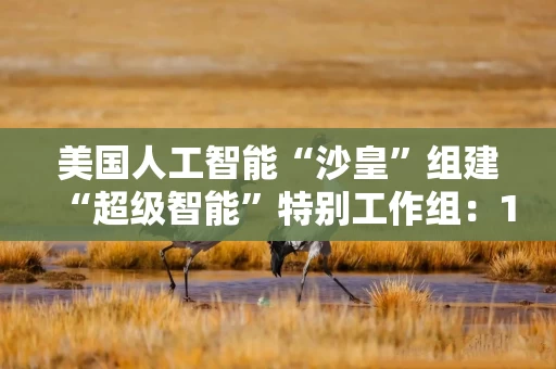 美国人工智能“沙皇”组建“超级智能”特别工作组：120天评估AI风险与政府监管边界