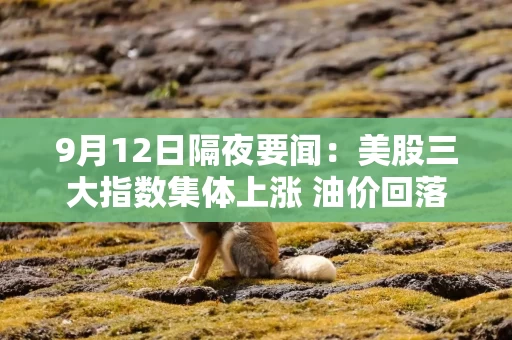 9月12日隔夜要闻:美股三大指数集体上涨 油价回落 铜价企稳 戴尔大涨近12% 9月12日隔夜要闻:美股三大指数集体上涨 油价回落 铜价企稳 戴尔大涨近12%