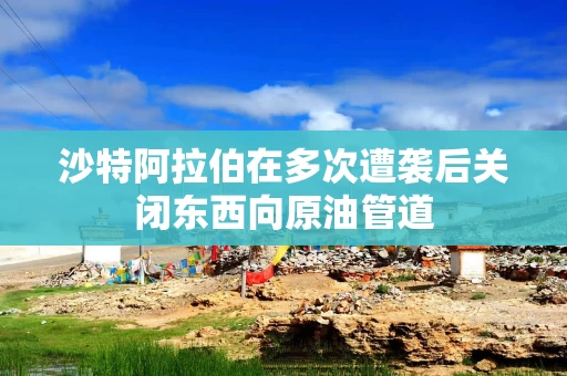 沙特阿拉伯在多次遭袭后关闭东西向原油管道 沙特阿拉伯在多次遭袭后关闭东西向原油管道
