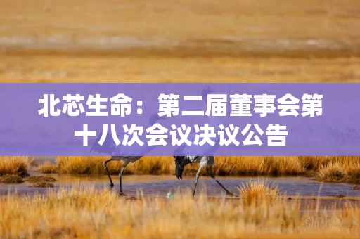 北芯生命:第二届董事会第十八次会议决议公告 北芯生命:第二届董事会第十八次会议决议公告