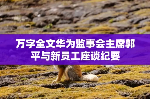 万字全文华为监事会主席郭平与新员工座谈纪要