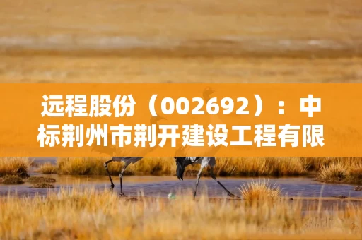 远程股份（002692）：中标荆州市荆开建设工程有限公司采购项目，中标金额为1258.00万元