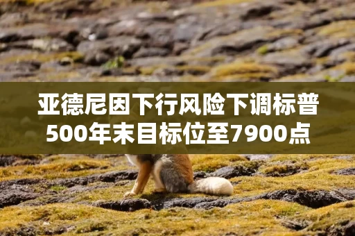 亚德尼因下行风险下调标普500年末目标位至7900点