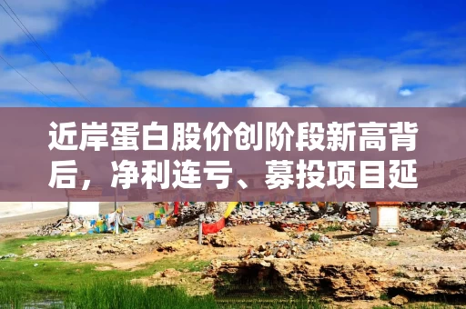 近岸蛋白股价创阶段新高背后，净利连亏、募投项目延期