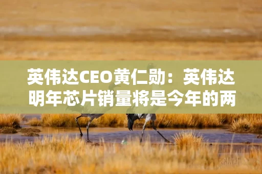 英伟达CEO黄仁勋：英伟达明年芯片销量将是今年的两倍