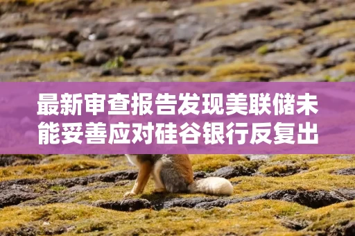 最新审查报告发现美联储未能妥善应对硅谷银行反复出现的问题